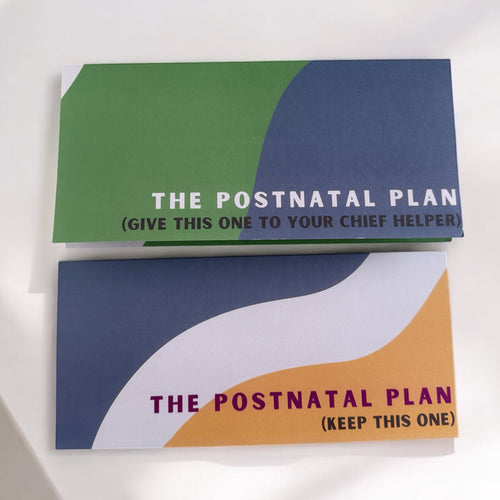 Postnatal Planning Guides - Set of Two Posters