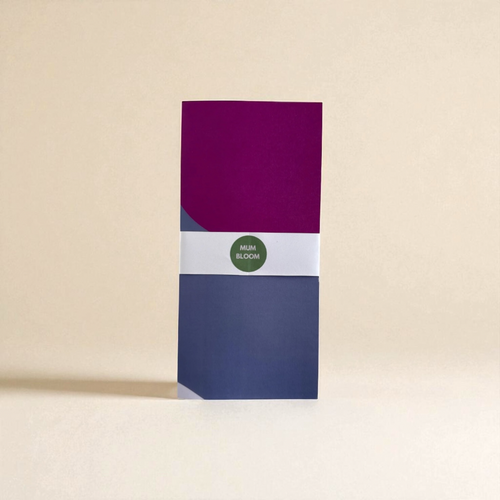 Postnatal Planning Guides - Set of Two Posters